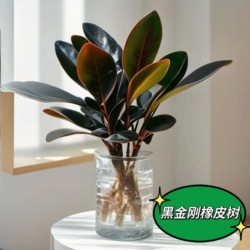 养花用什么水,插花在水里加什么比较好-第5张图片-优品飞百科 养花用什么水,插花在水里加什么比较好-第5张图片-优品飞百科