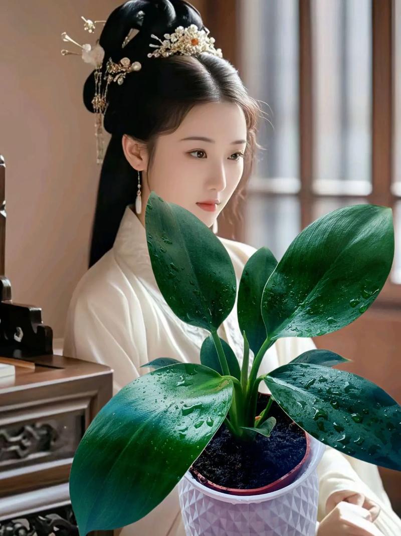 金钻冬天怎么养，金钻冬天怎么养活？-第5张图片-优品飞百科