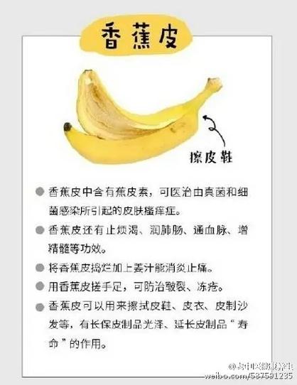 吃剩的“果皮”不要扔?吃剩的苹果皮应放入什么颜色垃圾桶?-第4张图片-优品飞百科 吃剩的“果皮”不要扔?吃剩的苹果皮应放入什么颜色垃圾桶?-第4张图片-优品飞百科