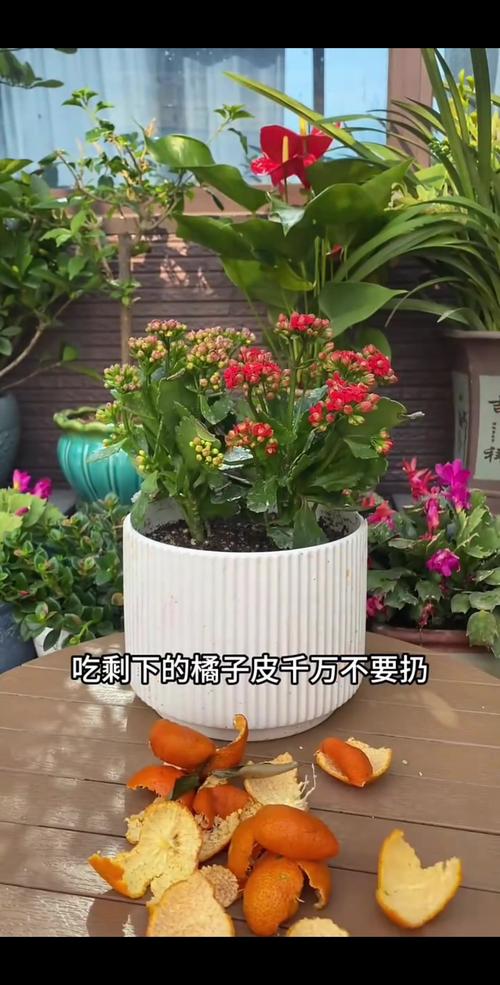 吃剩的“果皮”不要扔?吃剩的苹果皮应放入什么颜色垃圾桶?-第5张图片-优品飞百科 吃剩的“果皮”不要扔?吃剩的苹果皮应放入什么颜色垃圾桶?-第5张图片-优品飞百科