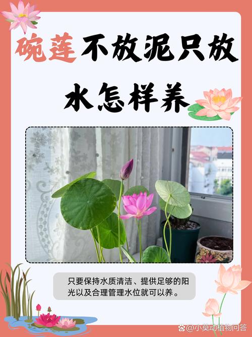 吃剩的“果皮”不要扔?吃剩的苹果皮应放入什么颜色垃圾桶?-第7张图片-优品飞百科 吃剩的“果皮”不要扔?吃剩的苹果皮应放入什么颜色垃圾桶?-第7张图片-优品飞百科