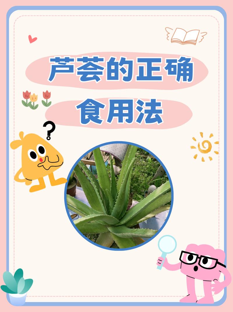芦荟怎么养才能长得快？芦荟怎么养才能长得快又茂盛？-第2张图片-优品飞百科