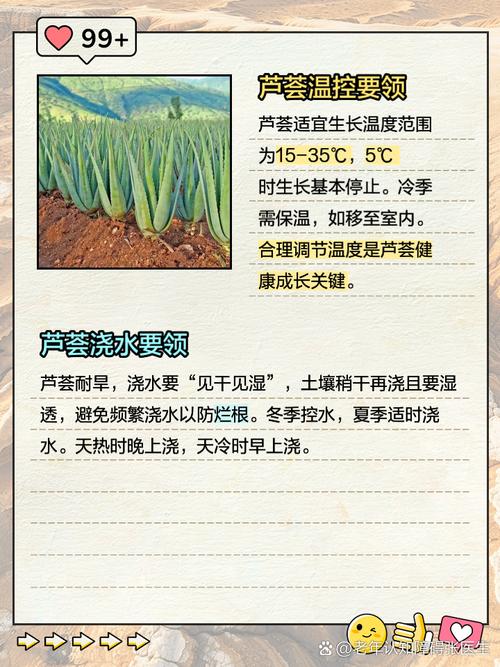 芦荟怎么养才能长得快？芦荟怎么养才能长得快又茂盛？-第3张图片-优品飞百科