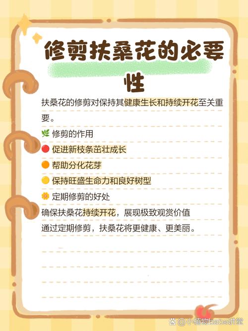 扶桑小苗春天怎样养护，扶桑小苗春天怎样养护好？-第2张图片-优品飞百科