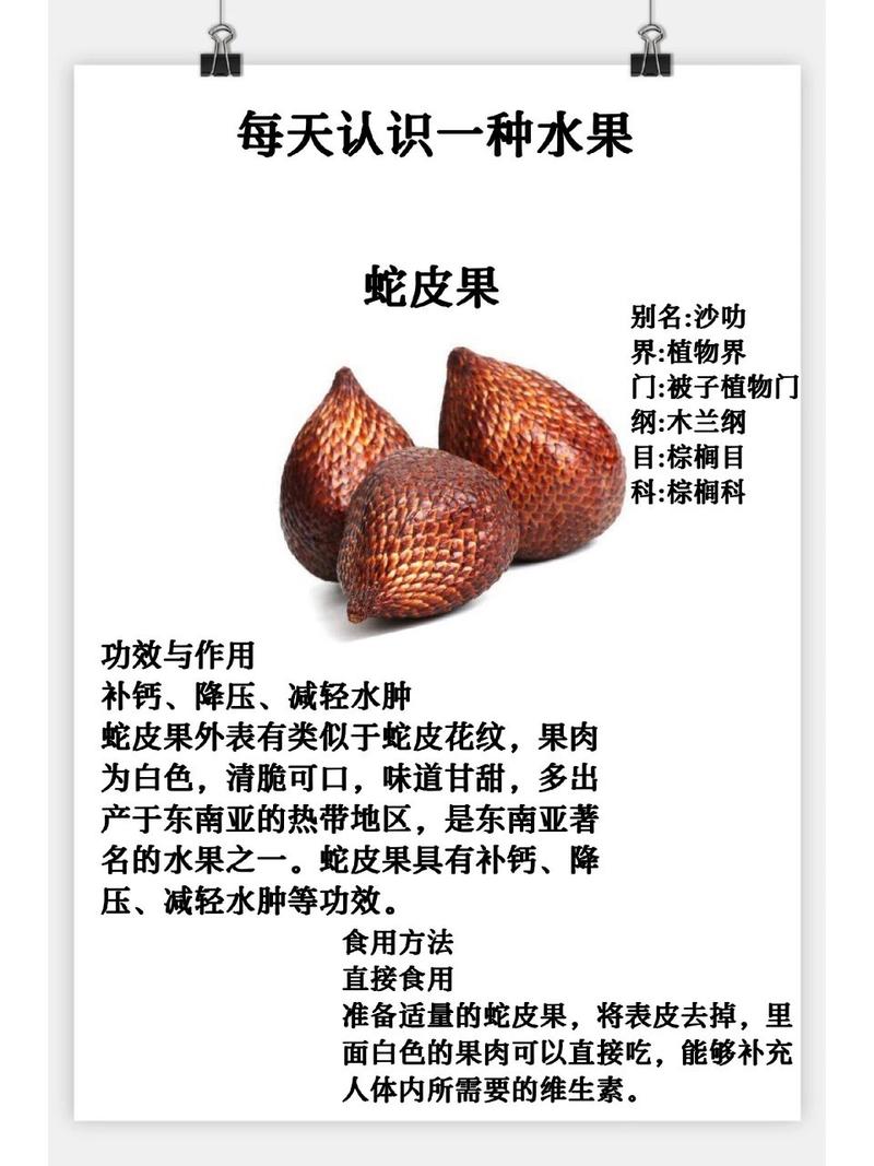 蛇皮果播种繁殖方法，蛇皮果种子怎么发芽盆栽？