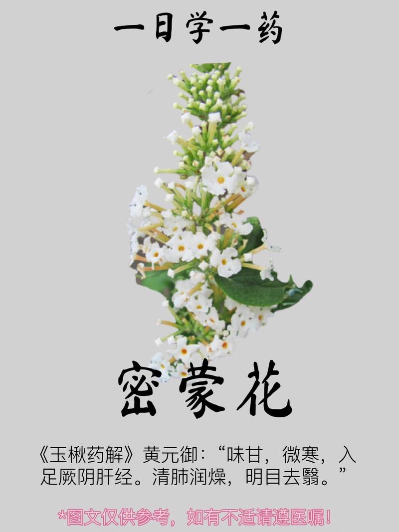 密蒙花怎么养，密蒙花的使用方法？-第5张图片-优品飞百科