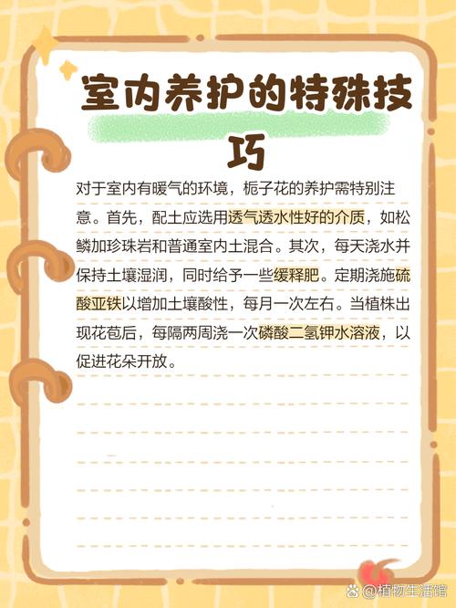 盆栽栀子花冬天怎么养？盆栽栀子花冬天怎么养护和浇水？-第4张图片-优品飞百科