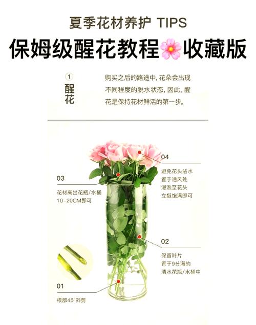 新手养花该注意什么？新手养花注意事项？-第2张图片-优品飞百科