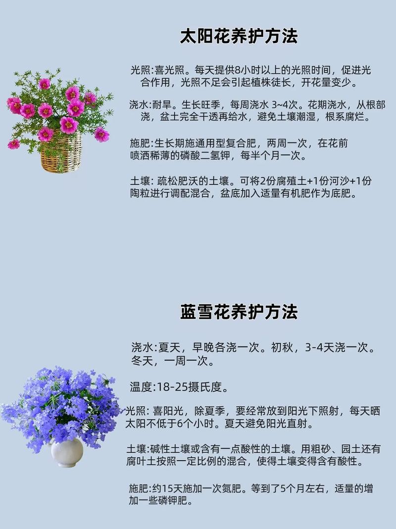 新手养花该注意什么？新手养花注意事项？-第4张图片-优品飞百科