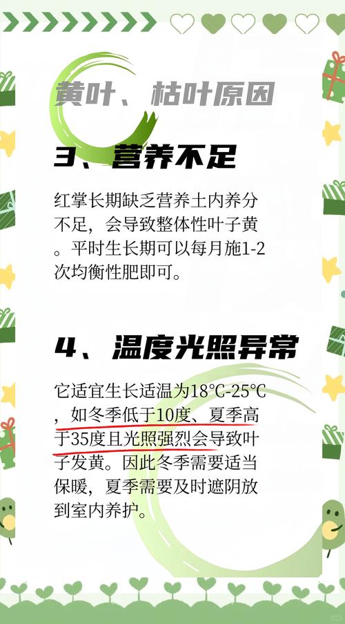 红掌叶子发黄怎么办？红掌叶子黑斑怎么补救？-第3张图片-优品飞百科
