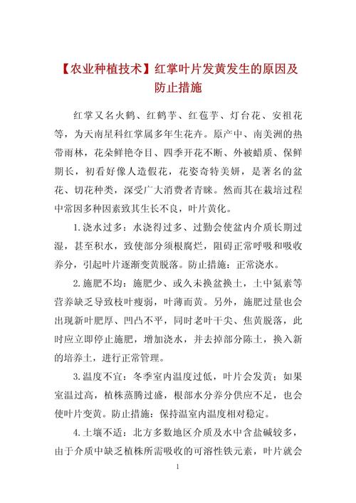 红掌叶子发黄怎么办？红掌叶子黑斑怎么补救？-第6张图片-优品飞百科