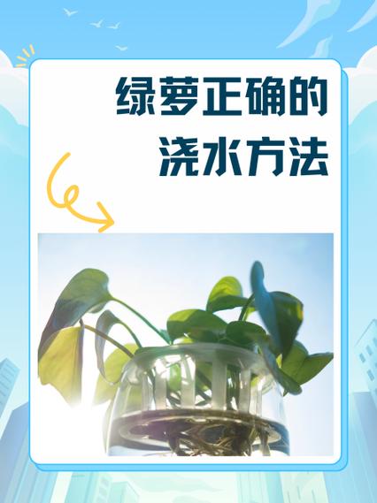 绿萝几天浇一次水合适，绿萝几天浇一次水好?？