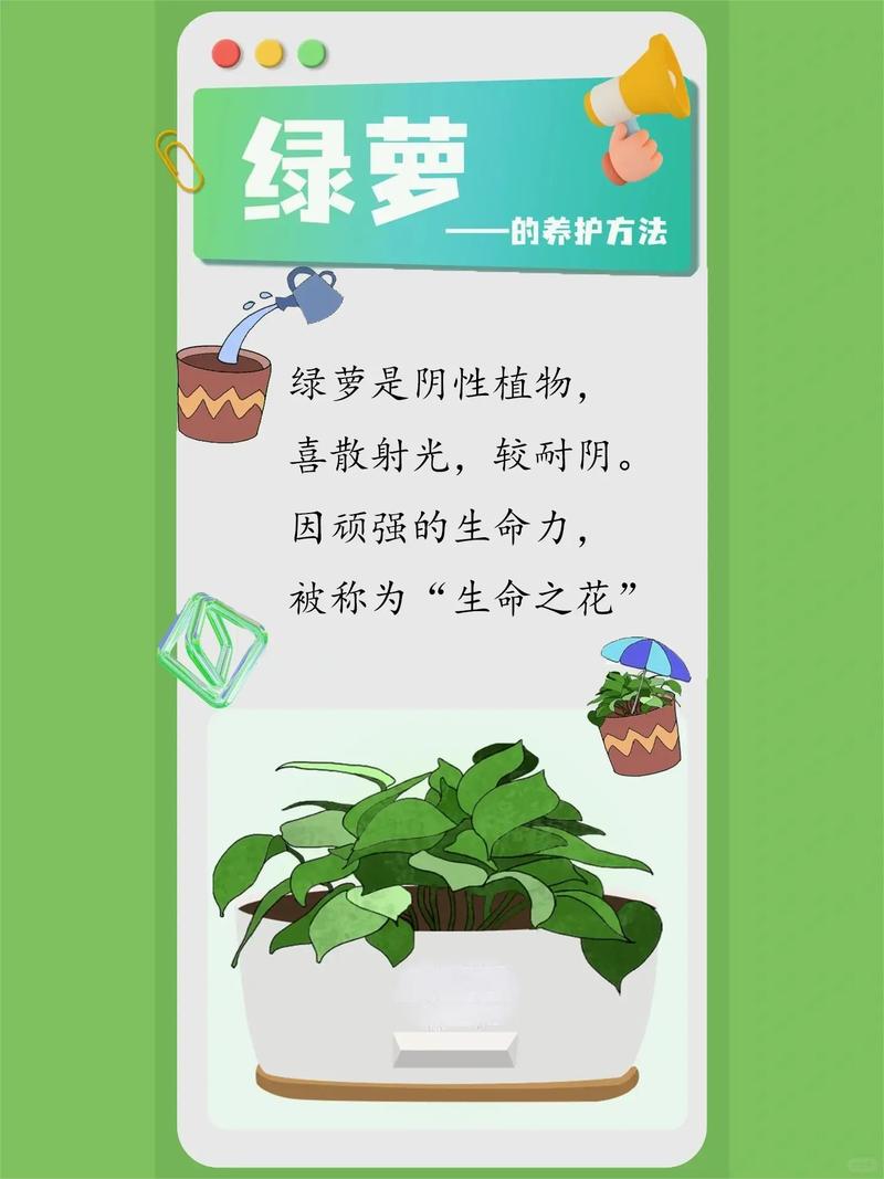 绿萝几天浇一次水合适，绿萝几天浇一次水好?？-第3张图片-优品飞百科