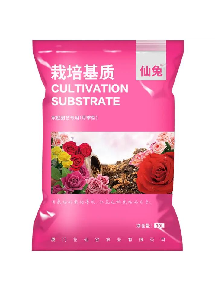 月季花用什么土，月季花怎么种植和养护