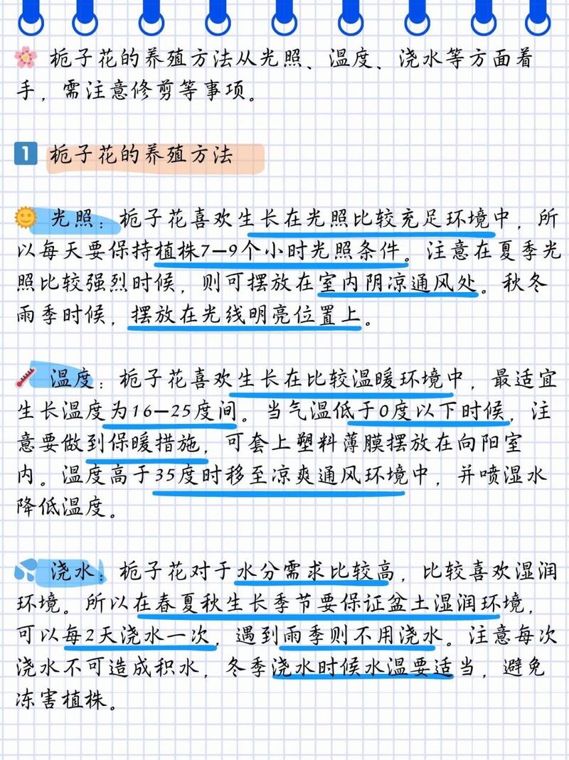 怎样养好栀子花？怎样养栀子花才长得好视频？-第5张图片-优品飞百科