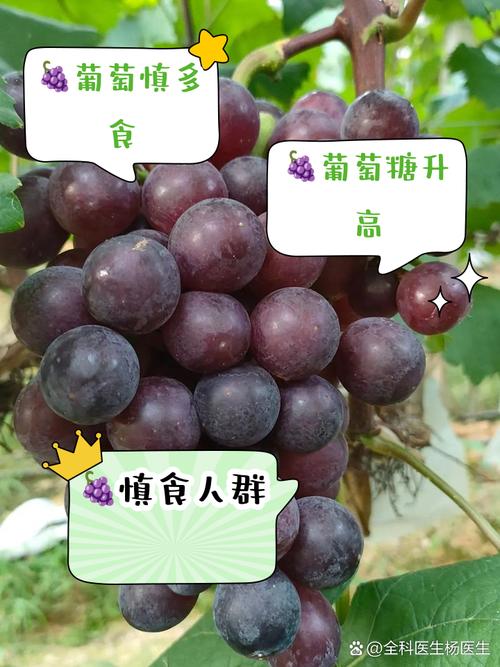 葡萄开花怎么防止被鸟吃，葡萄开花了,需要怎么样保护它-第3张图片-优品飞百科