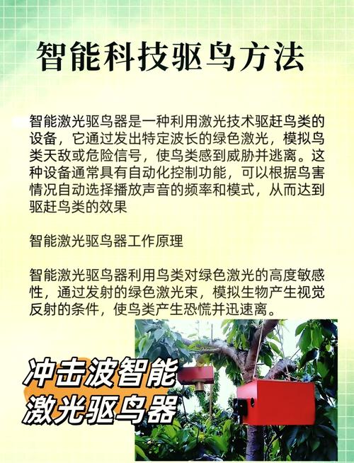 葡萄开花怎么防止被鸟吃，葡萄开花了,需要怎么样保护它-第6张图片-优品飞百科