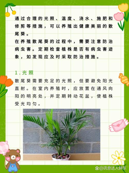 散尾葵用什么肥料，散尾葵用什么肥料比较好-第6张图片-优品飞百科