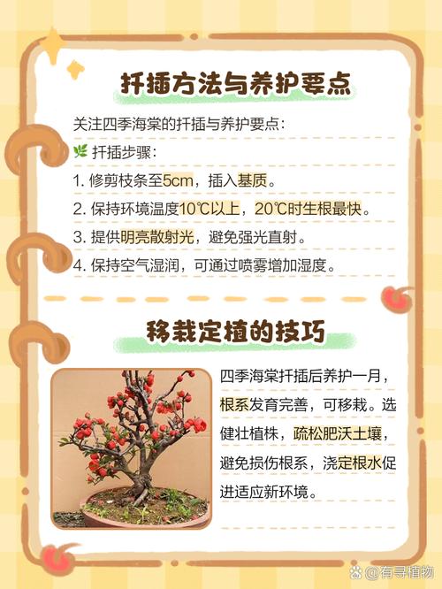 海棠怎么繁殖？海棠怎么繁殖方法？-第6张图片-优品飞百科