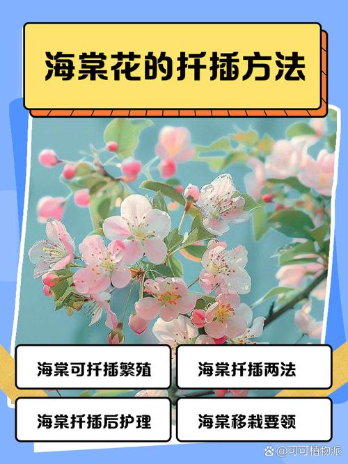 海棠怎么繁殖？海棠怎么繁殖方法？-第7张图片-优品飞百科
