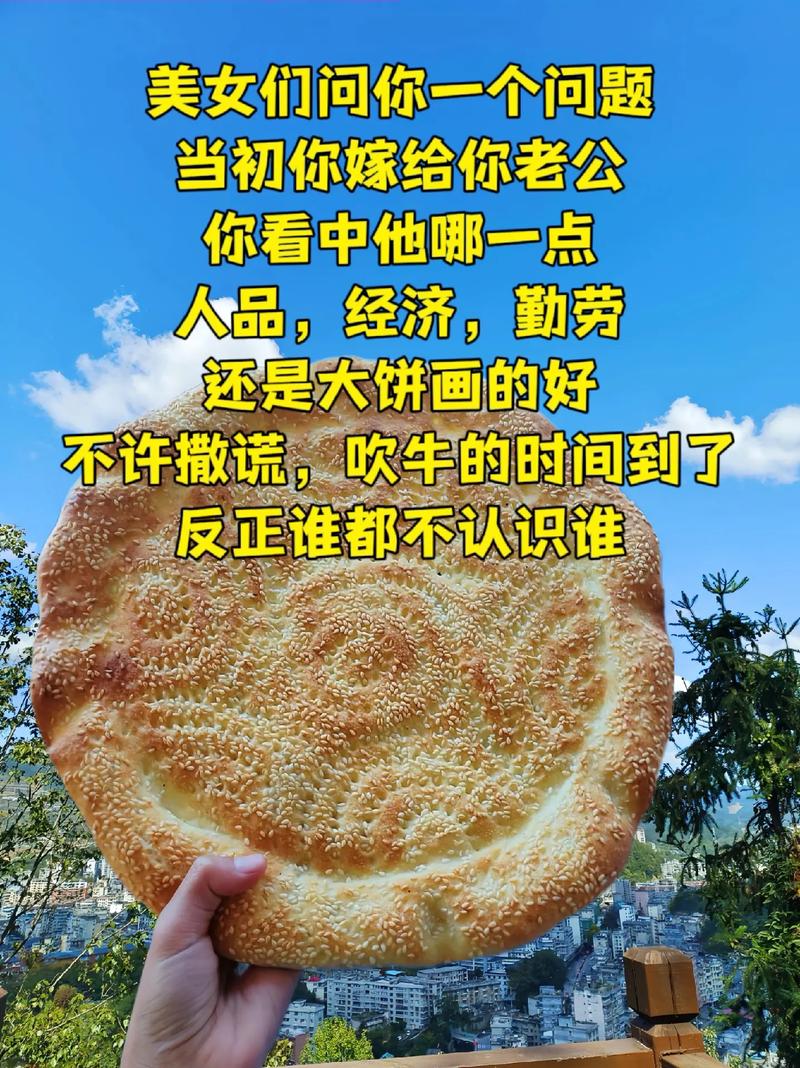 这块“大饼子”，这个饼又大又圆表情包-第3张图片-优品飞百科