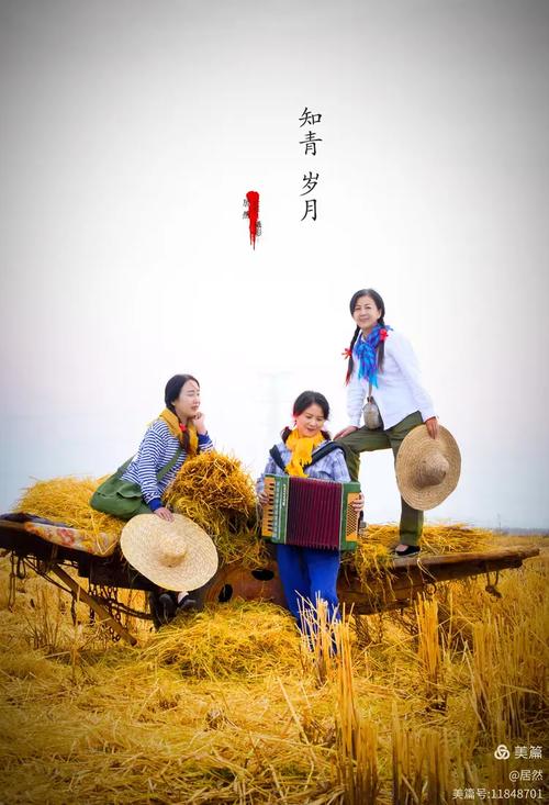 这块“大饼子”，这个饼又大又圆表情包-第5张图片-优品飞百科