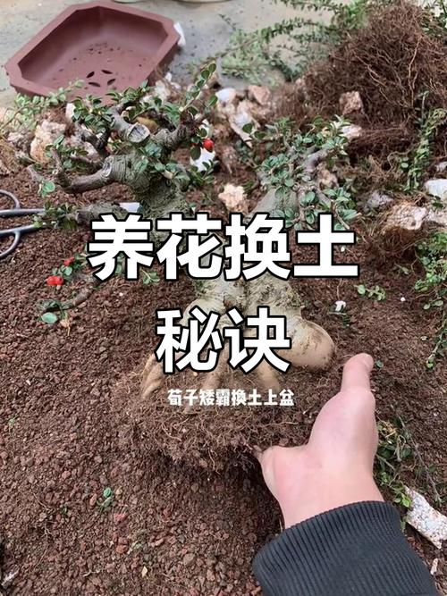 现在给花一掐一埋，把花掐掉？-第4张图片-优品飞百科