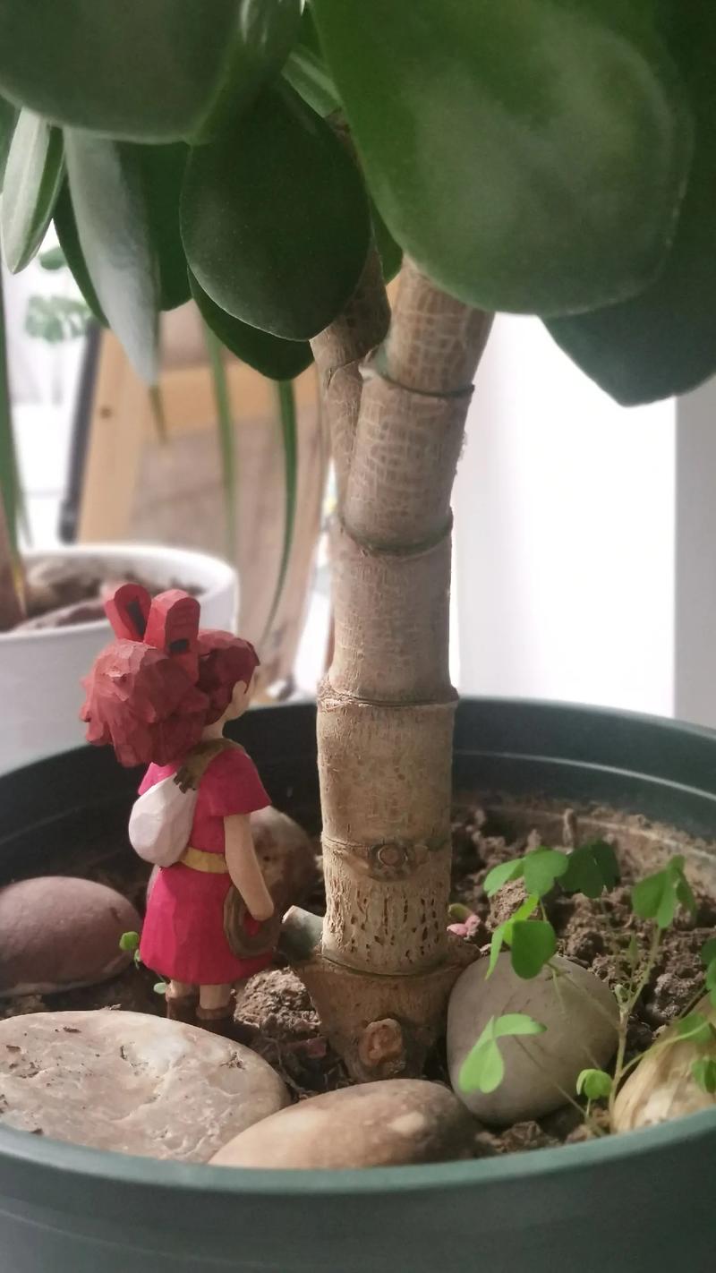 现在给花一掐一埋，把花掐掉？-第5张图片-优品飞百科