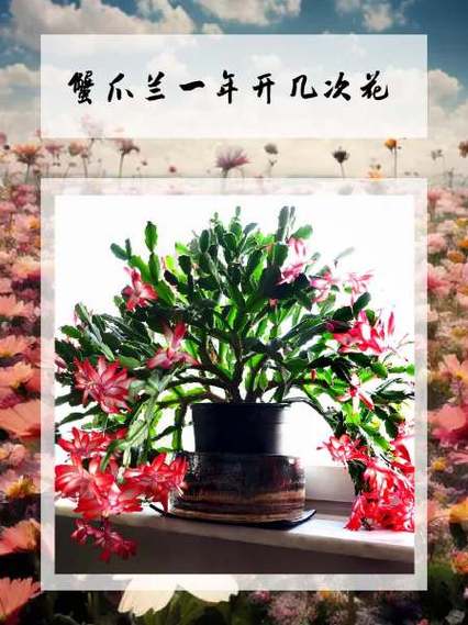 现在给花一掐一埋，把花掐掉？-第7张图片-优品飞百科