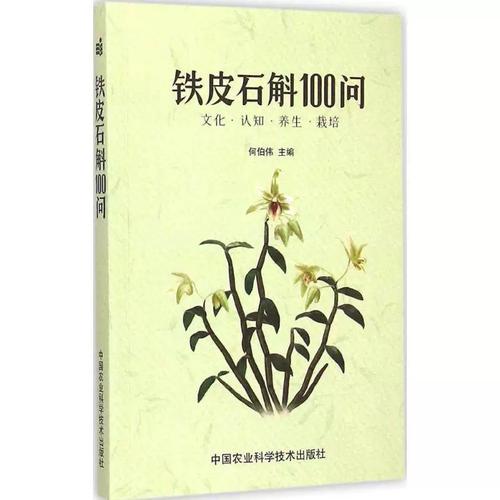 铁皮石斛种植技术？铁皮石斛种植技术培训中心？-第5张图片-优品飞百科