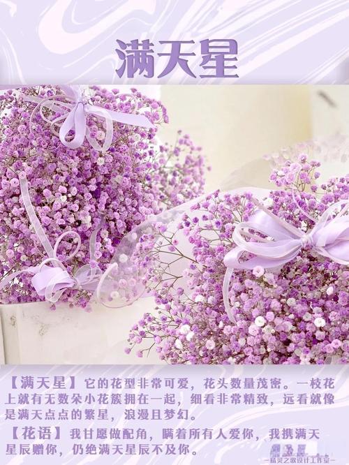 粉色满天星花语和寓意？粉色满天星花语花语？-第3张图片-优品飞百科