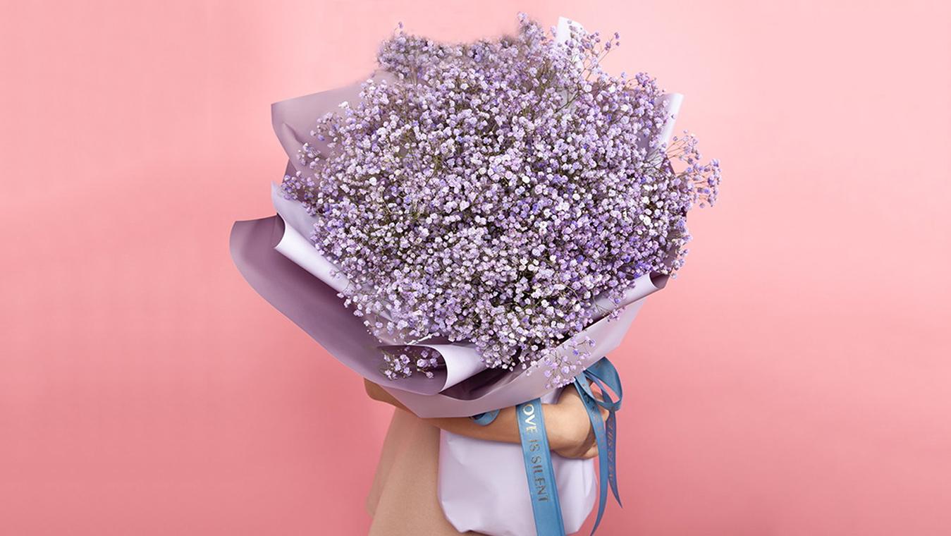 粉色满天星花语和寓意？粉色满天星花语花语？-第5张图片-优品飞百科