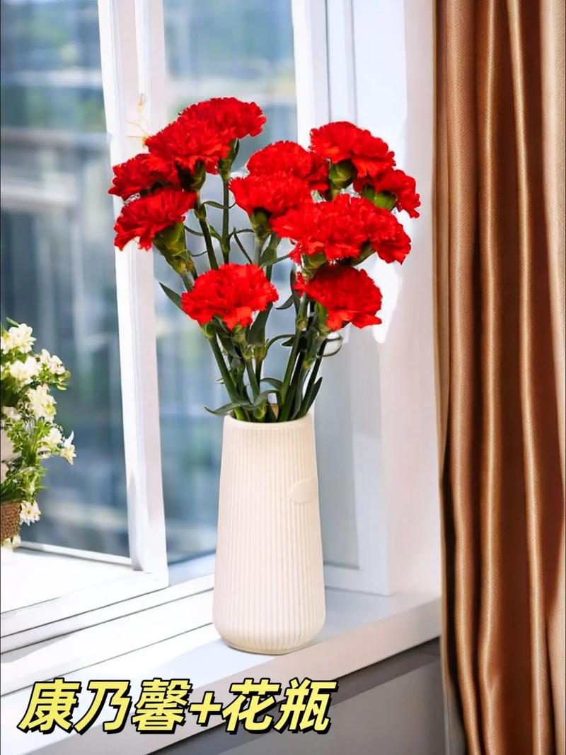 康乃馨插扦没根能活吗，康乃馨插扦没根能活吗怎么养？