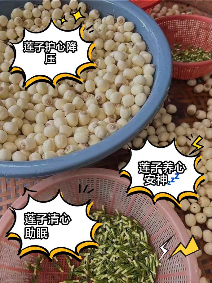 莲子怎么种植，莲子怎么种植视频教程-第3张图片-优品飞百科