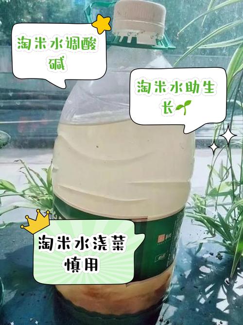哪些花不适合浇淘米水，什么花不可以浇淘米水-第5张图片-优品飞百科
