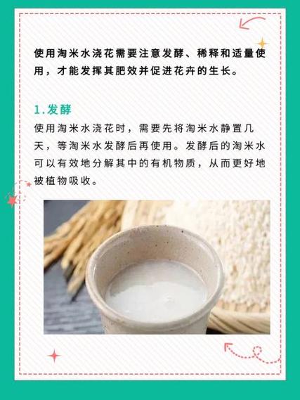 淘米水浇绿萝的正确方法，淘米水如何浇绿萝？-第2张图片-优品飞百科