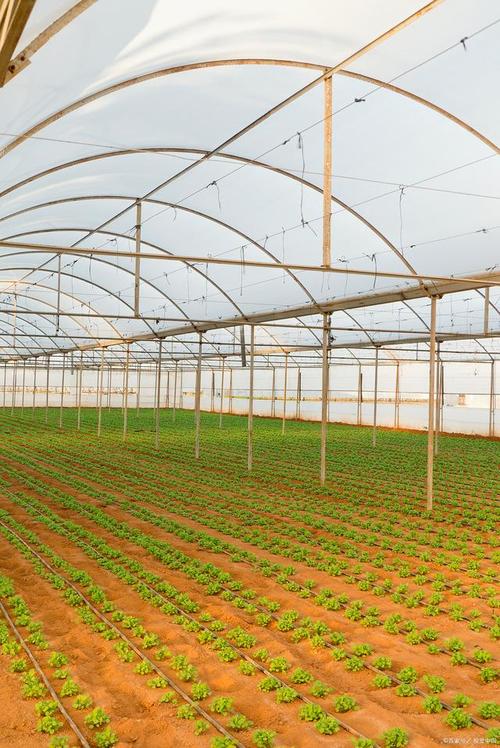 温室栽培很复杂,温室种植有什么优势-第2张图片-优品飞百科 温室栽培很复杂,温室种植有什么优势-第2张图片-优品飞百科