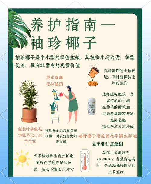 袖珍椰子怎么养长得快,袖珍椰子盆栽怎么养-第3张图片-优品飞百科 袖珍椰子怎么养长得快,袖珍椰子盆栽怎么养-第3张图片-优品飞百科