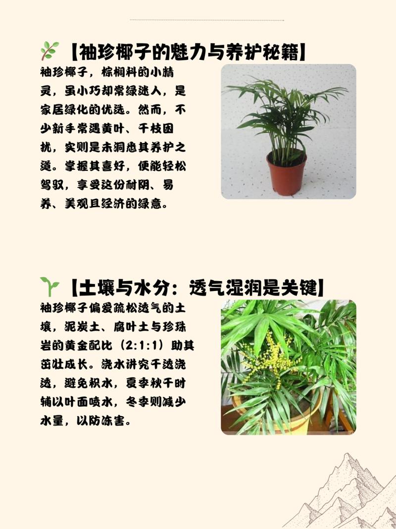 袖珍椰子怎么养长得快,袖珍椰子盆栽怎么养-第5张图片-优品飞百科 袖珍椰子怎么养长得快,袖珍椰子盆栽怎么养-第5张图片-优品飞百科