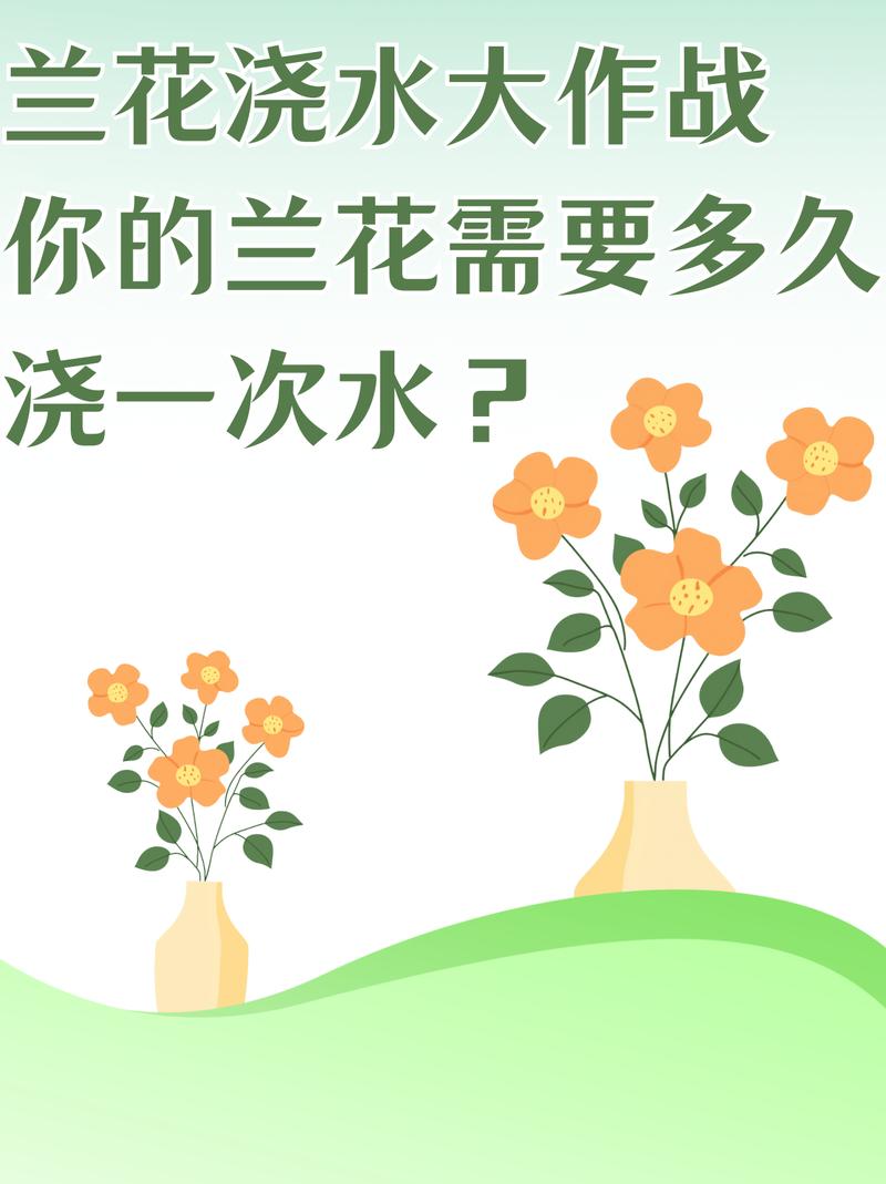 刚种下的兰花怎么浇水?刚种上的兰花怎样浇水?-第1张图片-优品飞百科 刚种下的兰花怎么浇水?刚种上的兰花怎样浇水?-第1张图片-优品飞百科