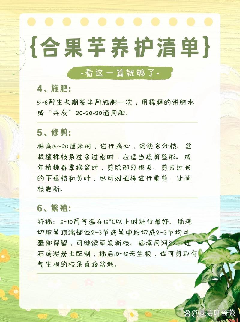 合果芋怎么养，合果芋怎么养才不会变大-第7张图片-优品飞百科