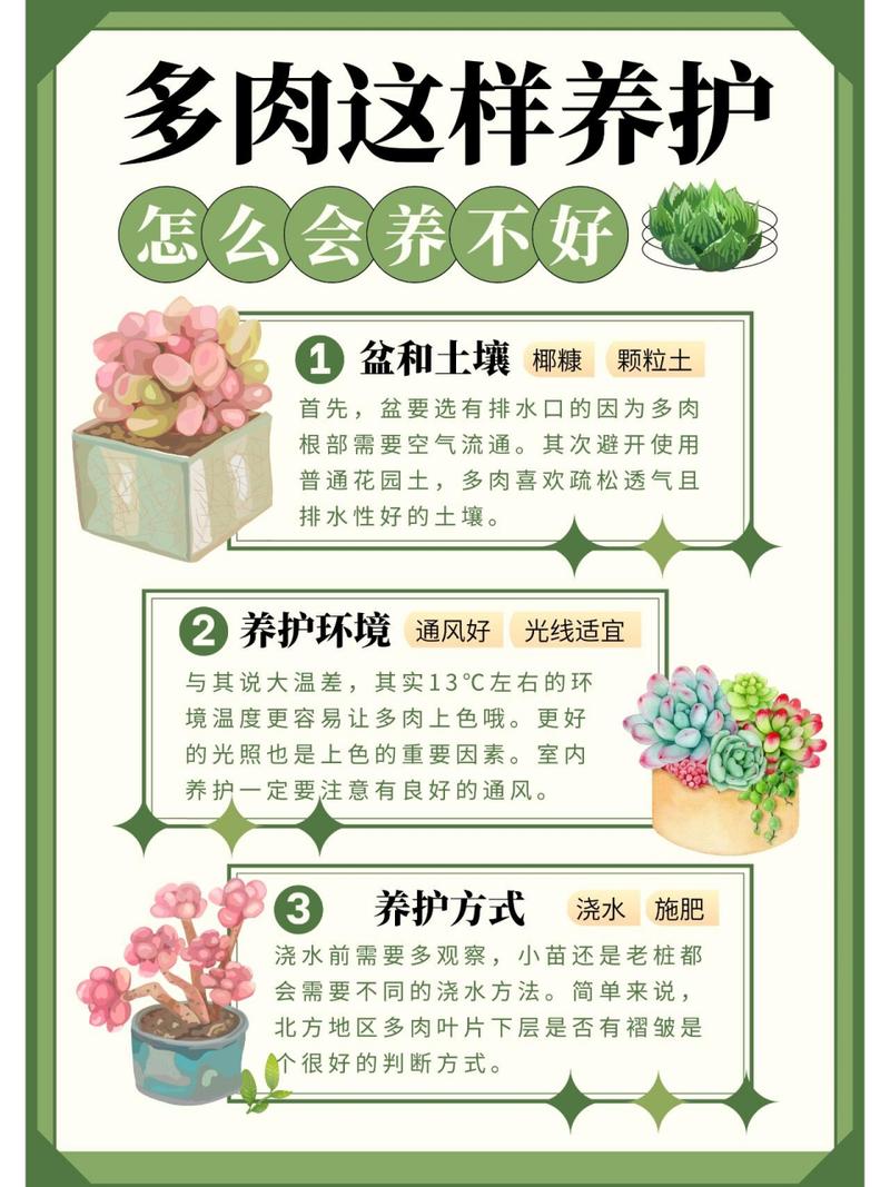 多肉这么晒太阳？多肉如何晒太阳才合理？