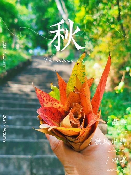 秋天去外面“拣”点树叶，秋天里捡叶子的作文？-第4张图片-优品飞百科