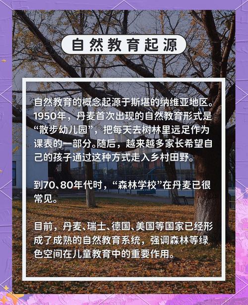 秋天去外面“拣”点树叶，秋天里捡叶子的作文？-第5张图片-优品飞百科