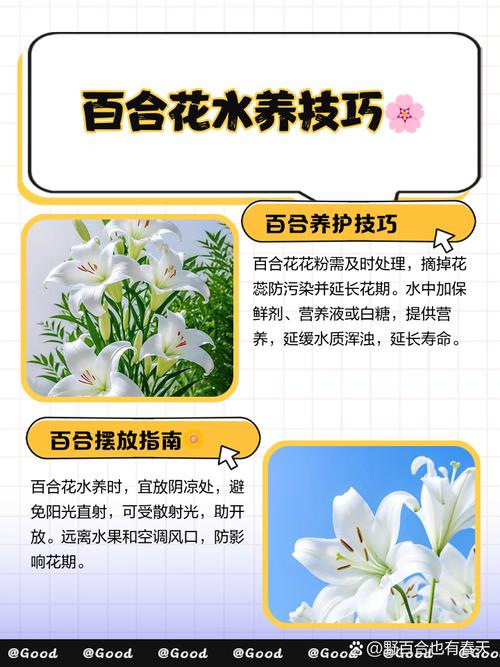 百合对水分的要求，百合对水分的要求是多少