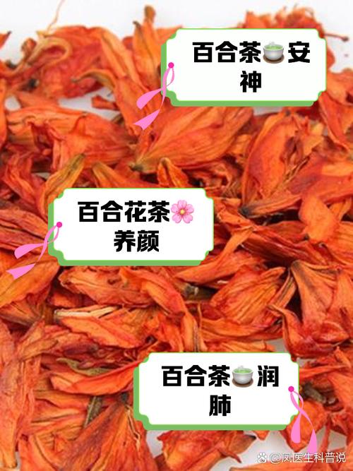 百合对水分的要求,百合对水分的要求是多少-第7张图片-优品飞百科 百合对水分的要求,百合对水分的要求是多少-第7张图片-优品飞百科