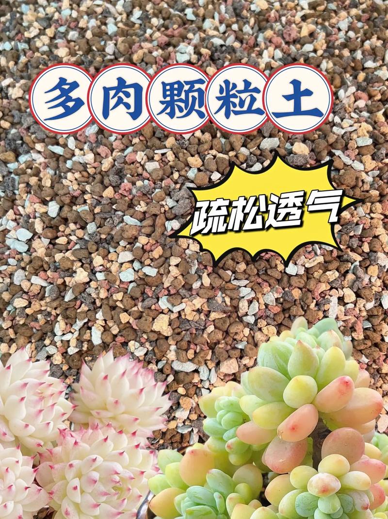 亚蜡木施肥方法？木蜡树是否有毒？