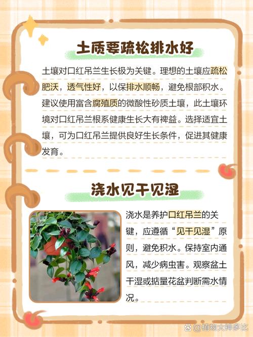 吊兰怎么养长得旺盛？吊兰怎么养更旺盛？-第2张图片-优品飞百科