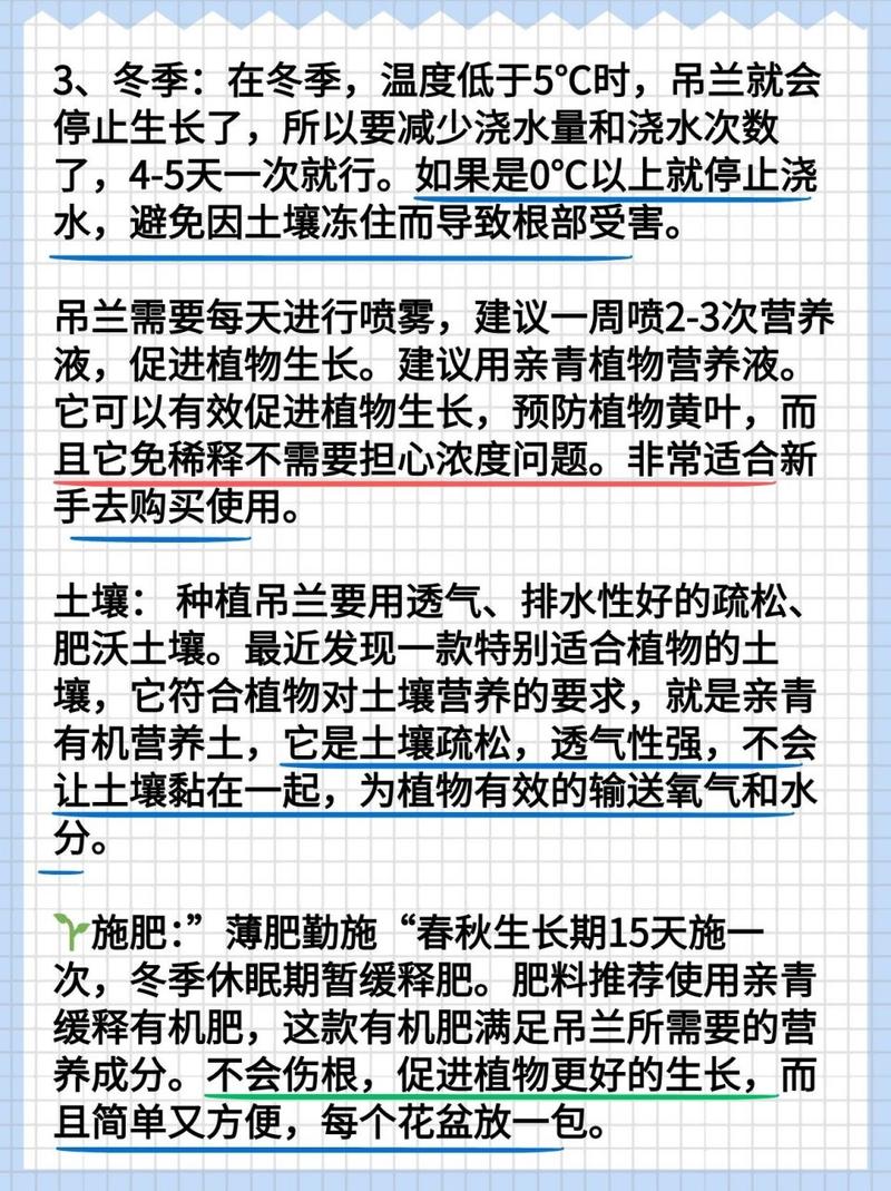 吊兰怎么养长得旺盛？吊兰怎么养更旺盛？-第3张图片-优品飞百科