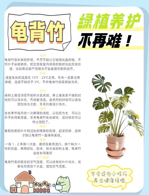 龟背竹换盆的步骤，龟背竹如何换盆有哪些禁忌？-第5张图片-优品飞百科